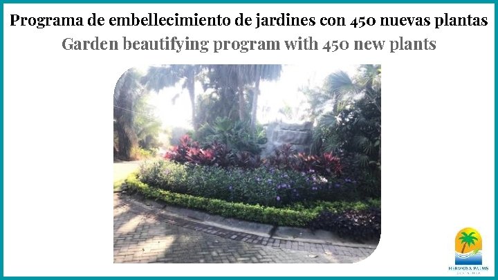 Programa de embellecimiento de jardines con 450 nuevas plantas Garden beautifying program with 450