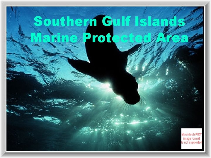 Southern Gulf Islands Marine Protected Area 