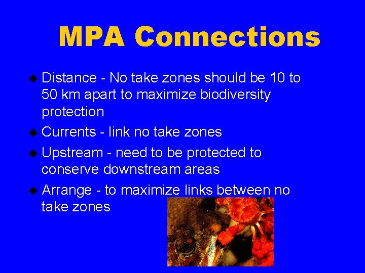 MPA Connections u Distance - No take zones should be 10 to 50 km