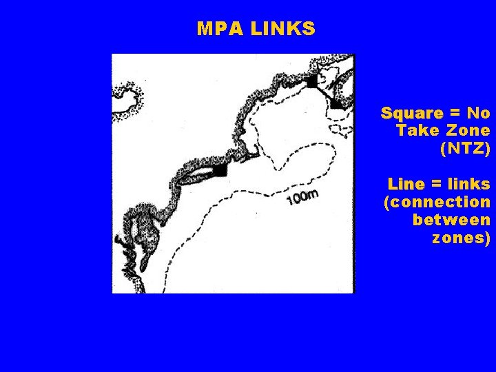 MPA LINKS Square = No Take Zone (NTZ) Line = links (connection between zones)