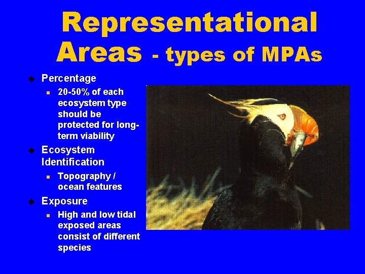 Representational Areas - types of MPAs u Percentage n u Ecosystem Identification n u