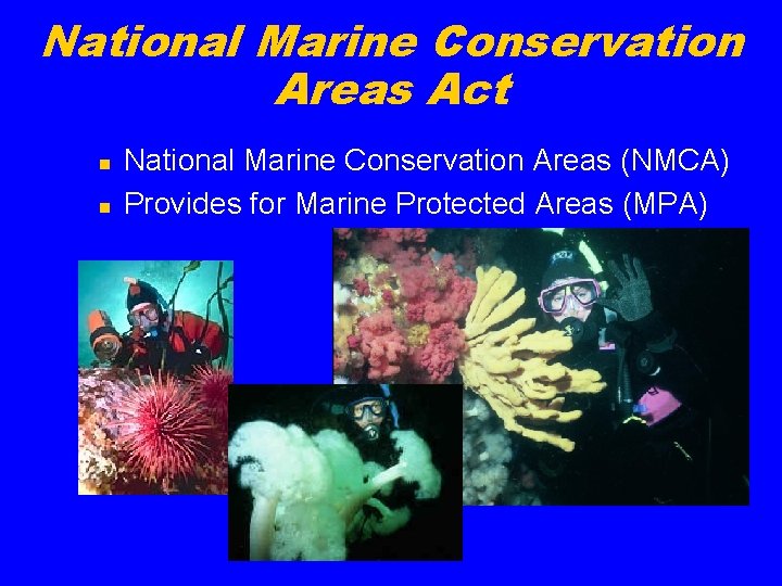 National Marine Conservation Areas Act n n National Marine Conservation Areas (NMCA) Provides for