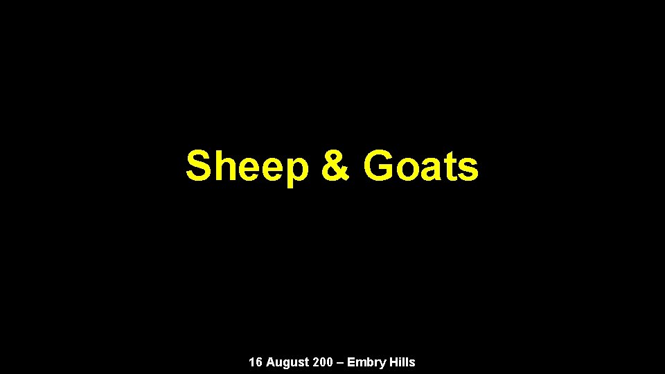 Sheep & Goats 16 August 200 – Embry Hills 