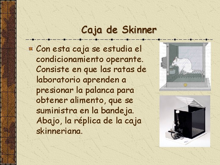 Caja de Skinner Con esta caja se estudia el condicionamiento operante. Consiste en que