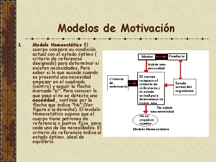 Modelos de Motivación 1. Modelo Homeostático El cuerpo compara su condición actual con el