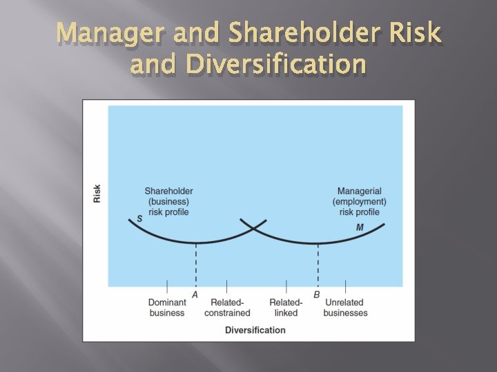 Manager and Shareholder Risk and Diversification 