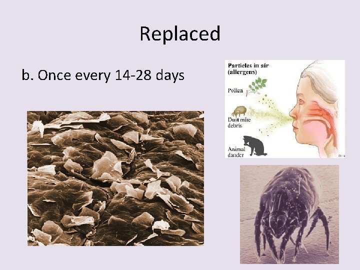Replaced b. Once every 14 -28 days 