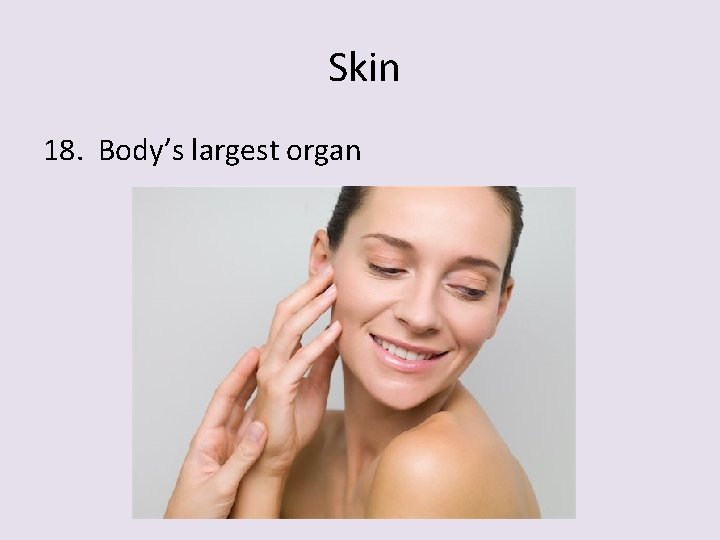 Skin 18. Body’s largest organ 