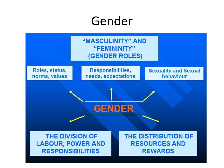 Gender 
