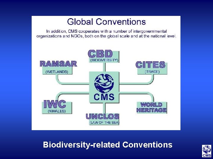 Biodiversity-related Conventions 