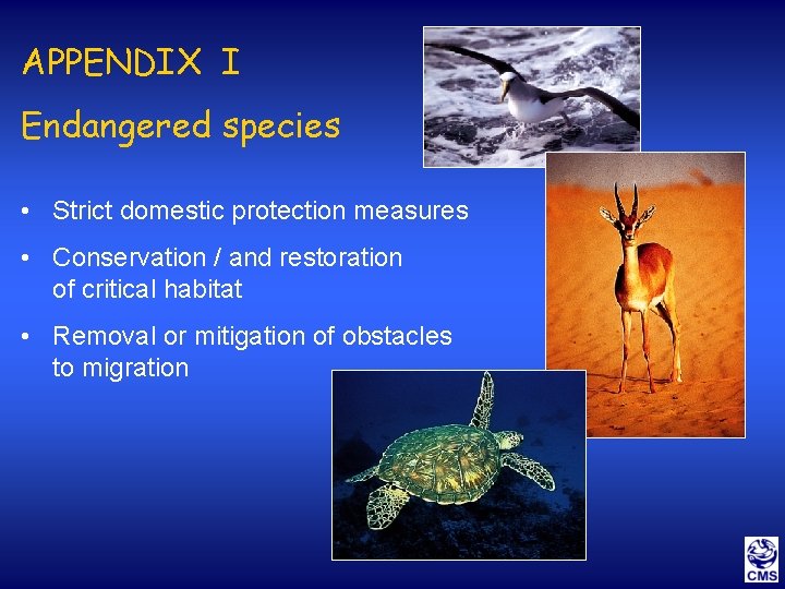 APPENDIX I Endangered species • Strict domestic protection measures • Conservation / and restoration