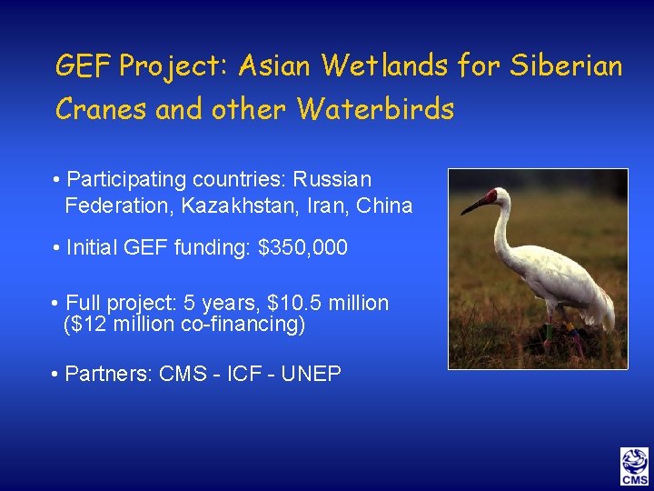 GEF Project: Asian Wetlands for Siberian Cranes and other Waterbirds • Participating countries: Russian