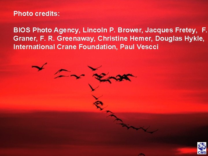 Photo credits: BIOS Photo Agency, Lincoln P. Brower, Jacques Fretey, F. Graner, F. R.