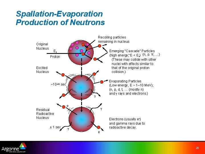 Spallation-Evaporation Production of Neutrons Original Nucleus Recoiling particles remaining in nucleus ‘ ‘ ‘