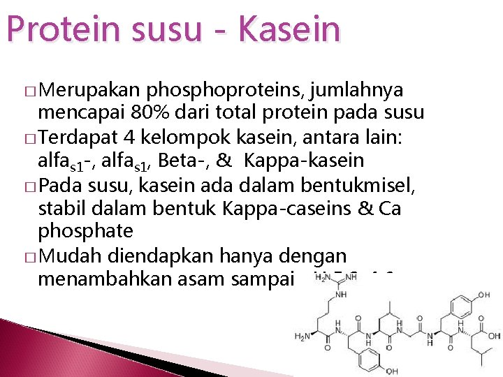 Protein susu - Kasein � Merupakan phosphoproteins, jumlahnya mencapai 80% dari total protein pada