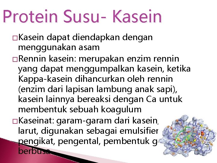 Protein Susu- Kasein �Kasein dapat diendapkan dengan menggunakan asam �Rennin kasein: merupakan enzim rennin