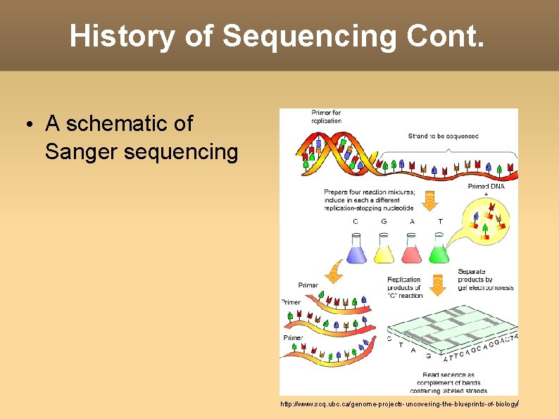 Sequenstering Deep Sequencing Introduction to Bioinformatics Seminar November 9