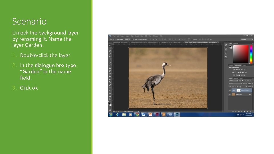 Scenario Unlock the background layer by renaming it. Name the layer Garden. 1. Double-click