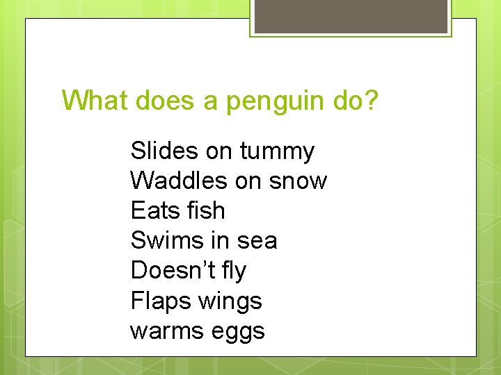 What does a penguin do? Slides on tummy Waddles on snow Eats fish Swims