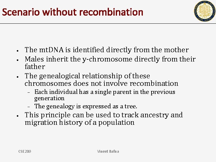 Scenario without recombination • • • The mt. DNA is identified directly from the