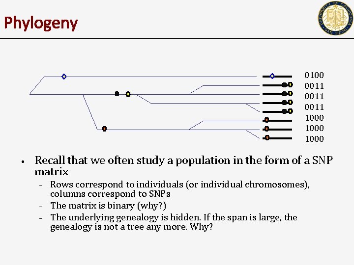 Phylogeny 0100 0011 1000 • Recall that we often study a population in the