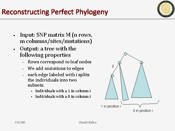 Reconstructing Perfect Phylogeny • • Input: SNP matrix M (n rows, m columns/sites/mutations) Output: