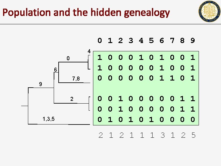 Population and the hidden genealogy 0 1 2 3 4 5 6 7 8