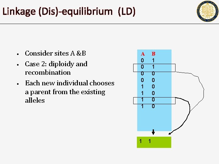 Linkage (Dis)-equilibrium (LD) • • • Consider sites A &B Case 2: diploidy and