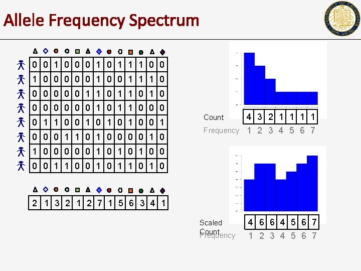 Allele Frequency Spectrum 0 0 1 0 1 1 1 0 0 0 0