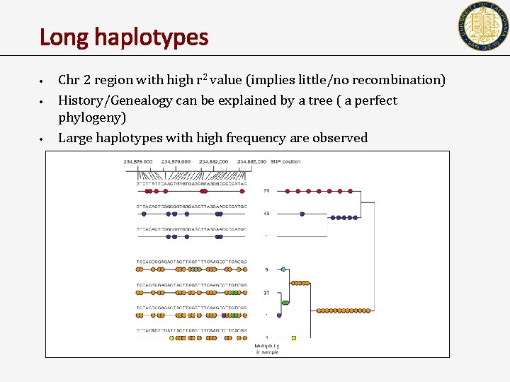 Long haplotypes • • • Chr 2 region with high r 2 value (implies