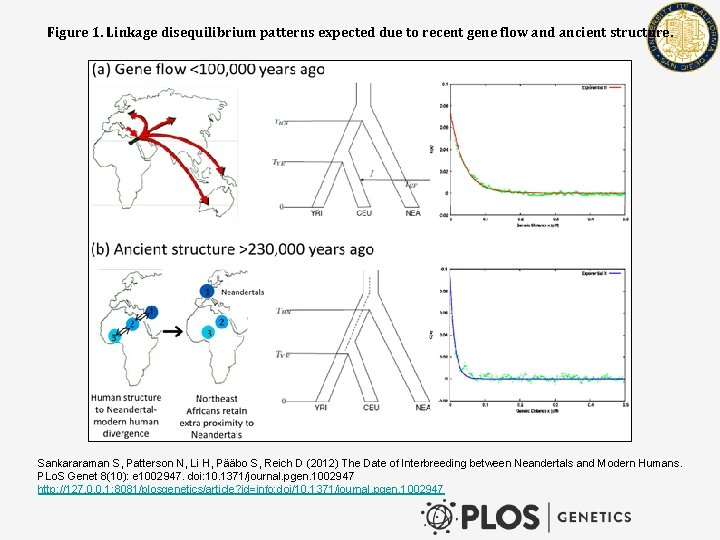 Figure 1. Linkage disequilibrium patterns expected due to recent gene flow and ancient structure.