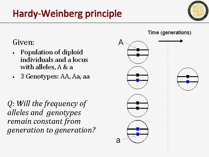 Hardy-Weinberg principle Time (generations) Given: • • A Population of diploid individuals and a