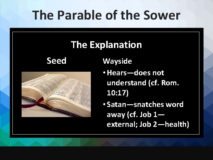 The Parable of the Sower The Explanation Seed Wayside • Hears—does not understand (cf.