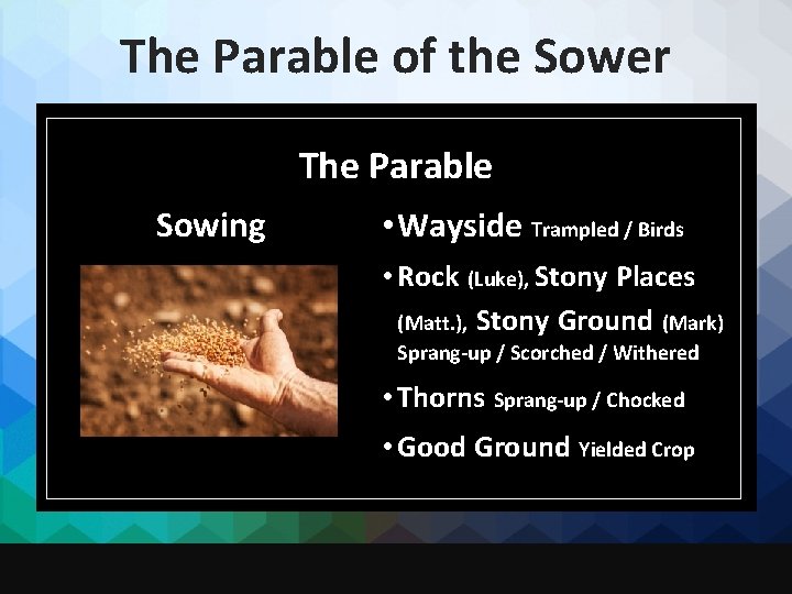 The Parable of the Sower The Parable Sowing • Wayside Trampled / Birds •