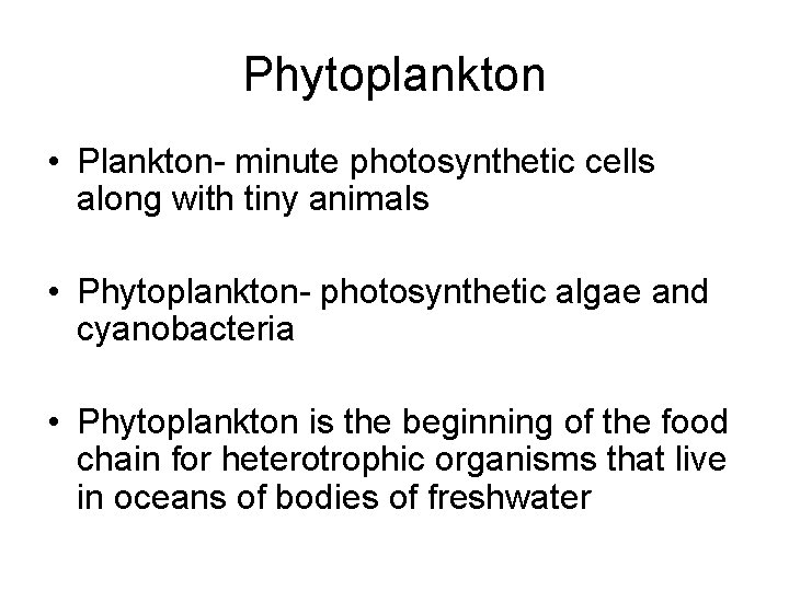 Phytoplankton • Plankton- minute photosynthetic cells along with tiny animals • Phytoplankton- photosynthetic algae