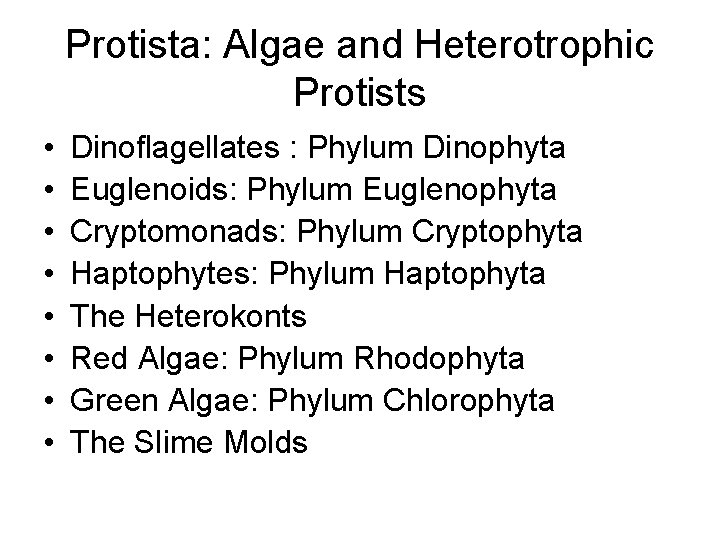 Protista: Algae and Heterotrophic Protists • • Dinoflagellates : Phylum Dinophyta Euglenoids: Phylum Euglenophyta