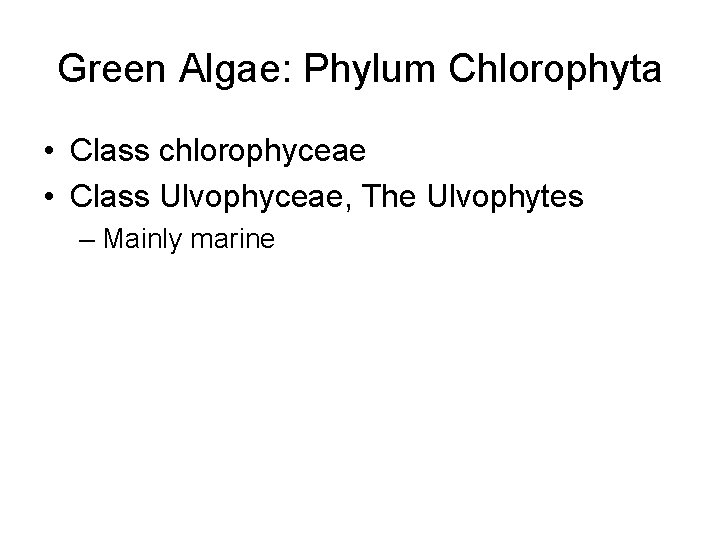 Green Algae: Phylum Chlorophyta • Class chlorophyceae • Class Ulvophyceae, The Ulvophytes – Mainly