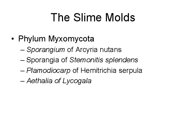 The Slime Molds • Phylum Myxomycota – Sporangium of Arcyria nutans – Sporangia of