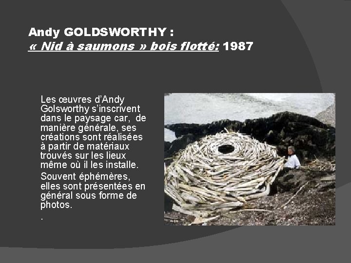 Andy GOLDSWORTHY : « Nid à saumons » bois flotté: 1987 Les œuvres d’Andy
