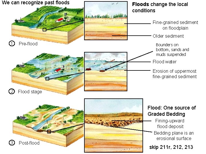 We can recognize past floods Floods change the local conditions 6_6 Fine-grained sediment on