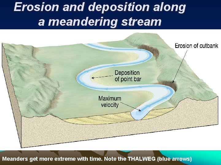 Erosion and deposition along a meandering stream Meanders get more extreme with time. Note