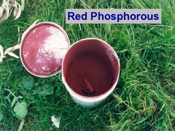 Red Phosphorous 