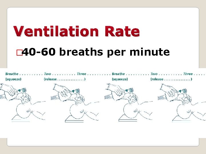 Ventilation Rate � 40 -60 breaths per minute 