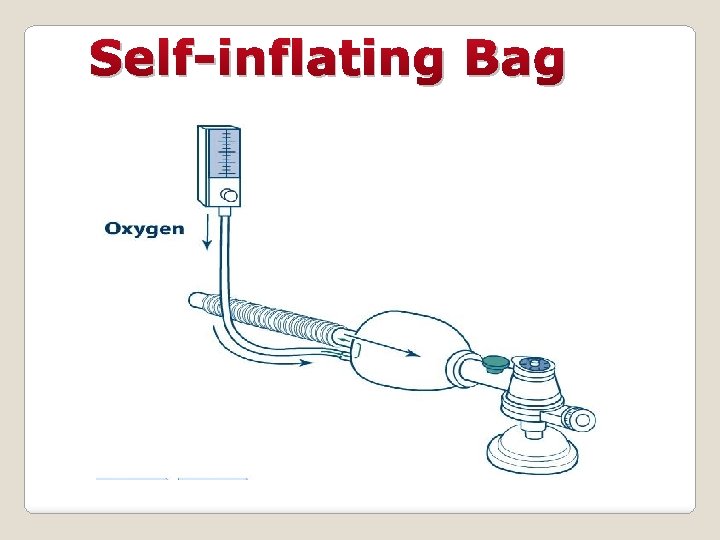 Self-inflating Bag 
