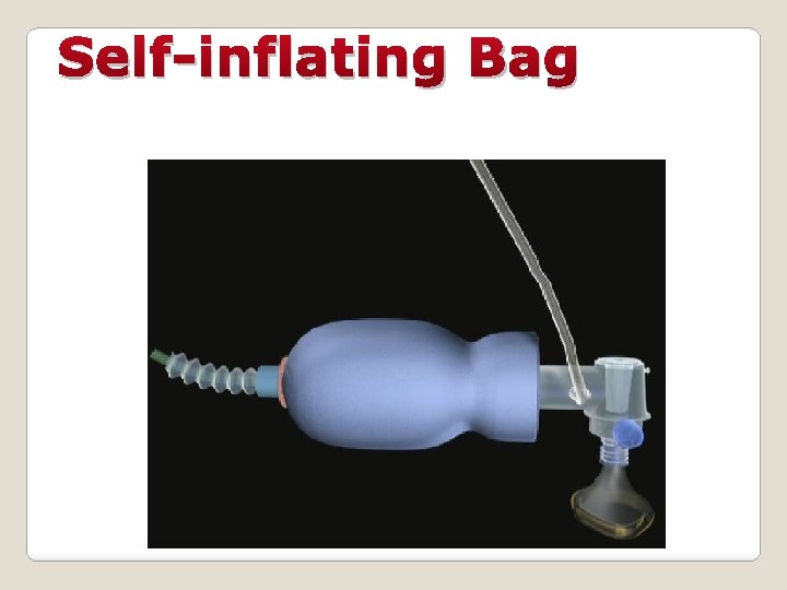 Self-inflating Bag 