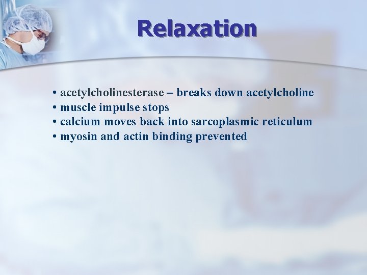 Relaxation • acetylcholinesterase – breaks down acetylcholine • muscle impulse stops • calcium moves