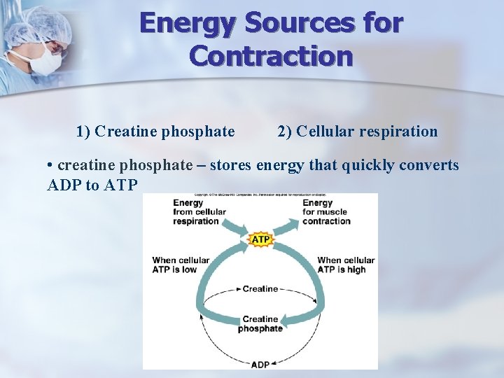 Energy Sources for Contraction 1) Creatine phosphate 2) Cellular respiration • creatine phosphate –