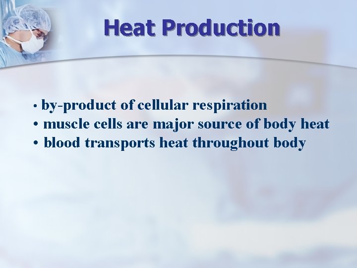 Heat Production • by-product of cellular respiration • muscle cells are major source of