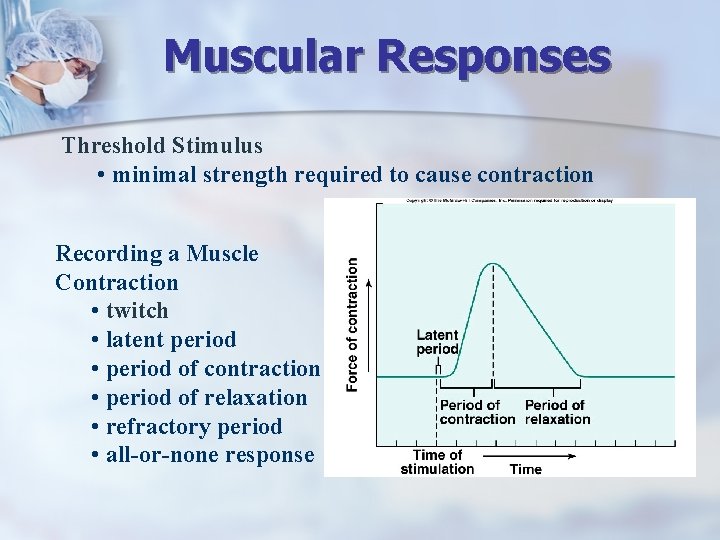 Muscular Responses Threshold Stimulus • minimal strength required to cause contraction Recording a Muscle