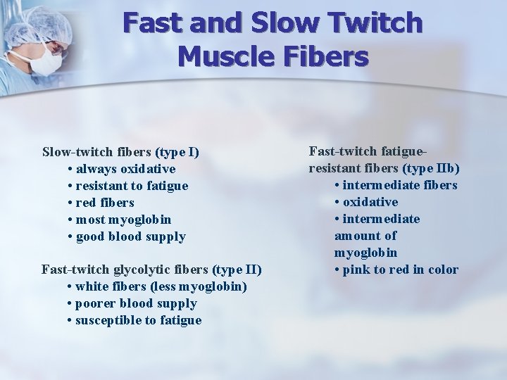 Fast and Slow Twitch Muscle Fibers Slow-twitch fibers (type I) • always oxidative •